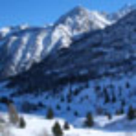 Einstein Brothers Bagels